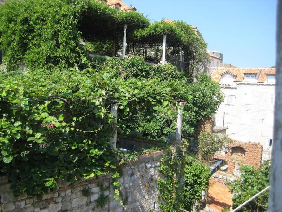 Design Studio - Old Town Dubrovník Exteriér fotografie